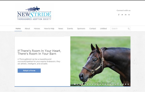Irresistible theme site design template sample