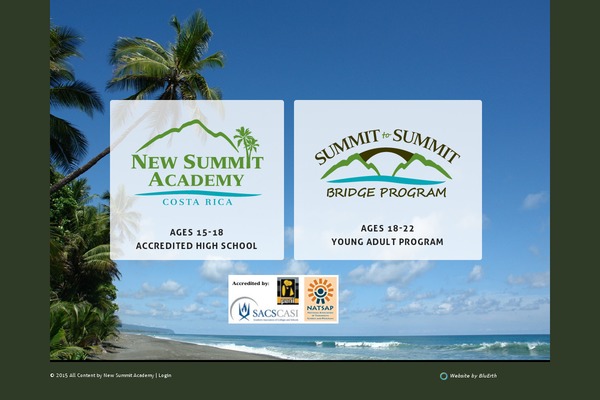newsummitacademy.com site used Twentyten-nsa