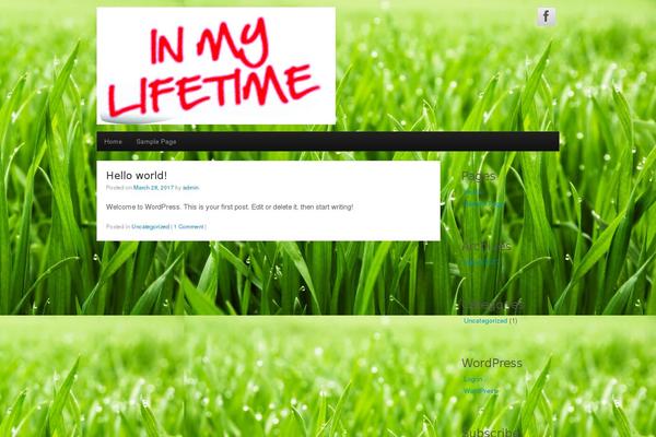 CyberChimps Pro theme site design template sample