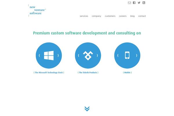 nvs theme websites examples