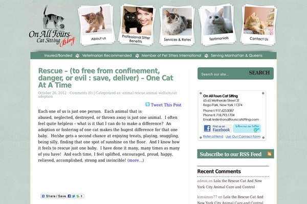newyorkcitycatsittingblog.com site used Onallfours