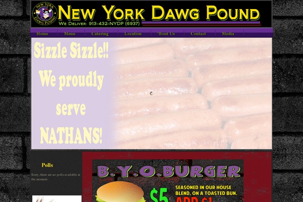 Site using Counterize plugin