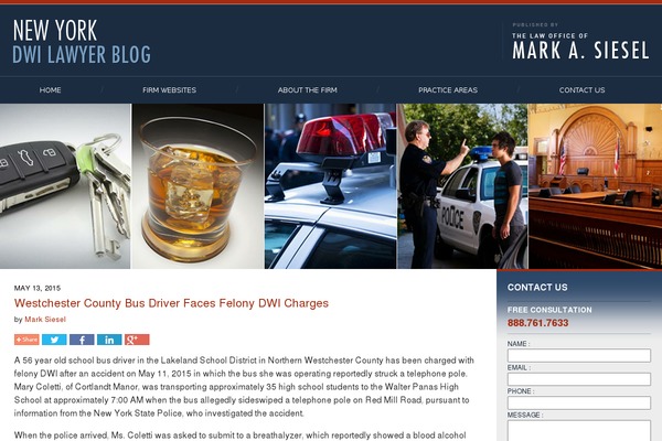 Willow theme site design template sample