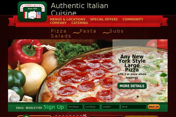 JNP theme websites examples