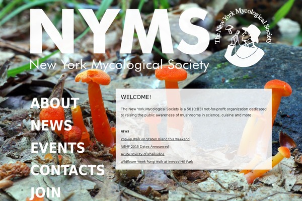 Site using Matomo plugin