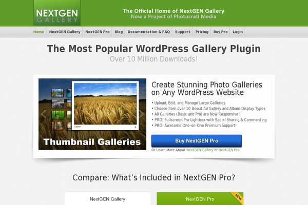 Site using Wp-codemirror-block plugin