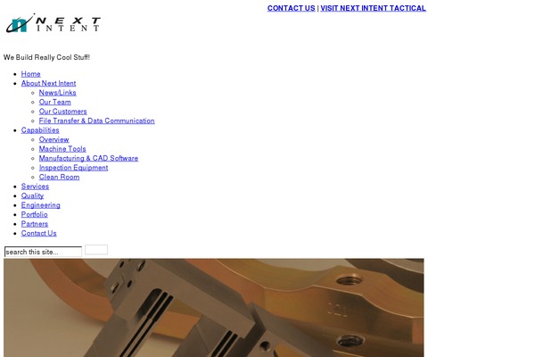nextintent.com site used TheProfessional