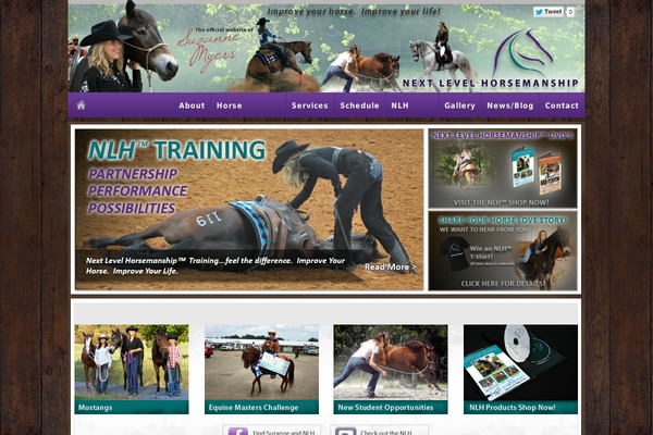 Site using Carousel-free-video-gallery plugin