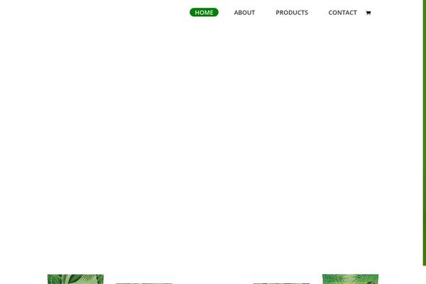 Divi Child theme site design template sample