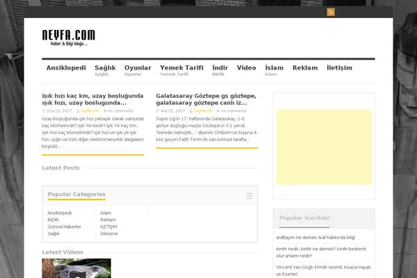 Megnet theme site design template sample