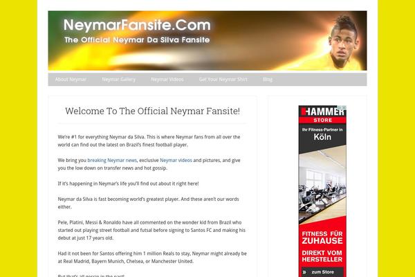Lifestyle Pro theme site design template sample