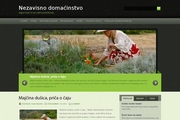 Site using Related Posts by Zemanta plugin