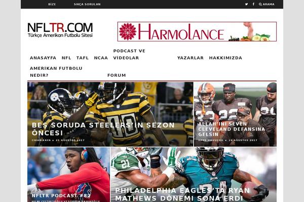 15Zine theme site design template sample