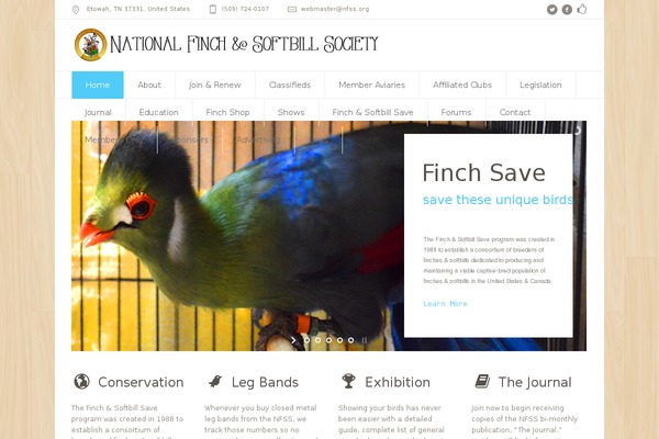 Eco Nature theme site design template sample