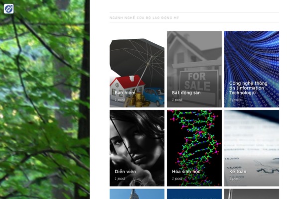 Medium theme site design template sample