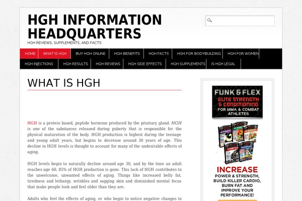 Diginews theme site design template sample