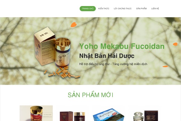 Flatsome theme site design template sample