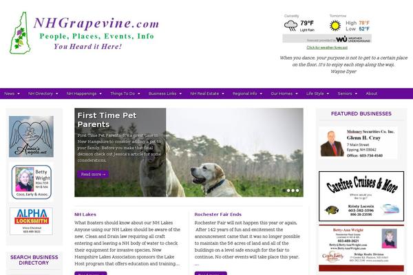 Site using Widgetize Pages Light plugin