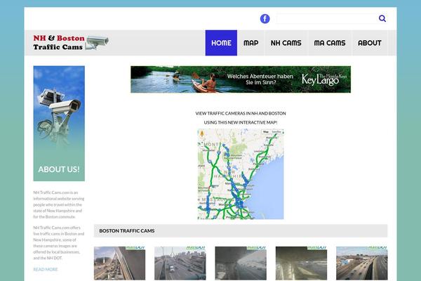 theme53260 theme websites examples