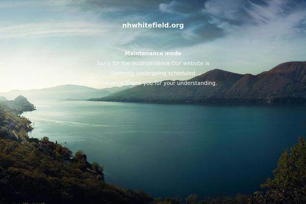Flip theme site design template sample