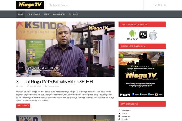 VideoTube theme site design template sample