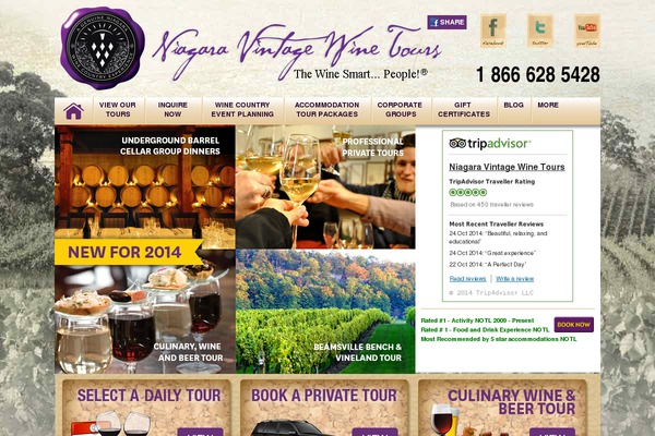Site using Divi-mega-pro plugin