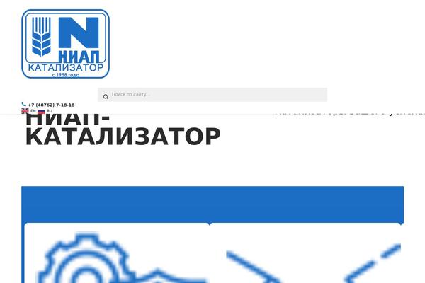 Site using Wp-yandex-metrika plugin