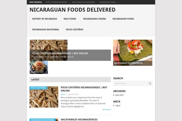 Point theme site design template sample