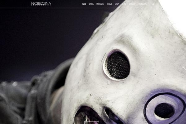 Site using Salient-portfolio plugin