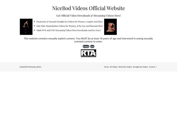 Ashe theme site design template sample