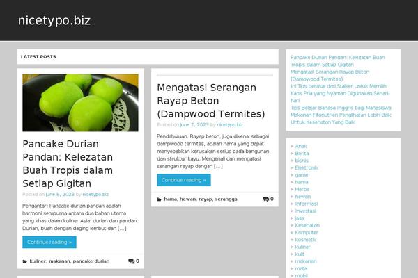 Momentous Lite theme site design template sample