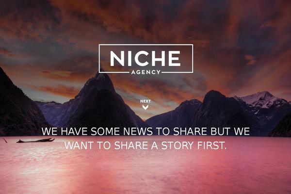 nicheagency.co site used Hookie