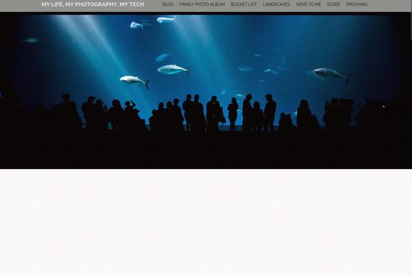 Moesia theme site design template sample