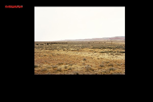 Fotofolio-landscape theme site design template sample