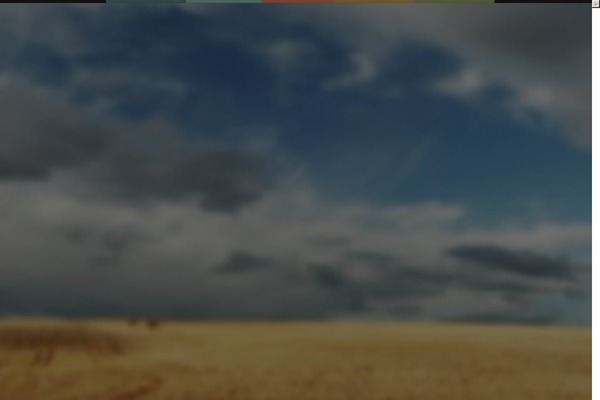 nicholassparks.com site used Nicholassparks_2022