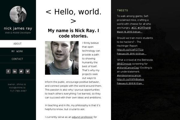 WordPress website example screenshot