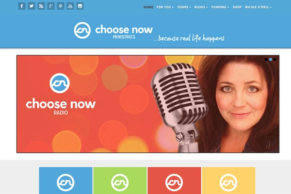 mission-child theme websites examples