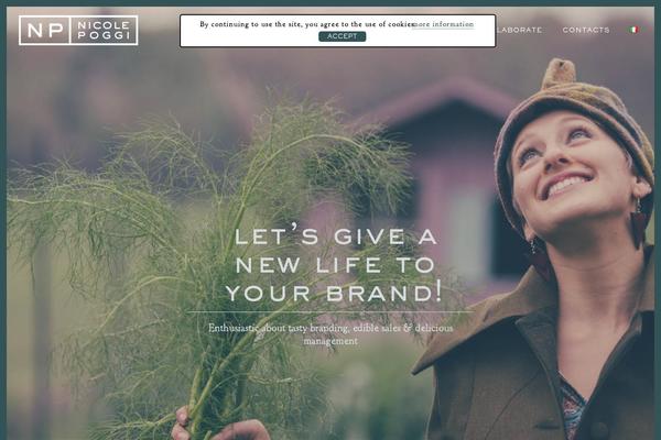 Borderland theme site design template sample