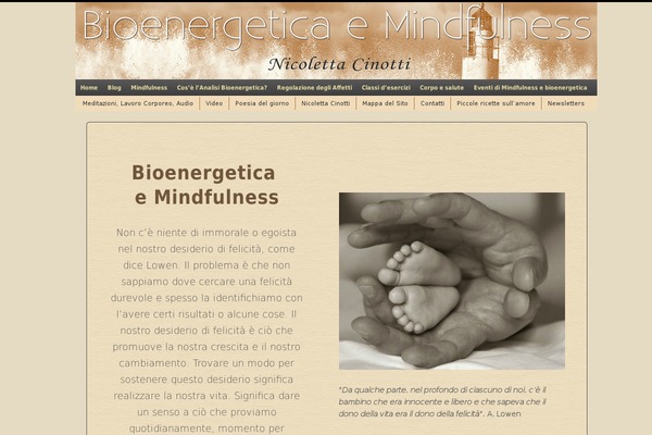 Site using Better WordPress Minify plugin