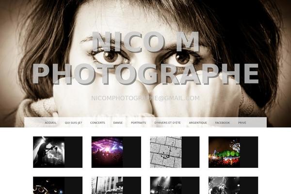 Snaps theme site design template sample