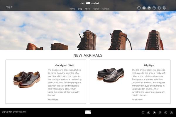 Site using Newsletter-subscription-form plugin