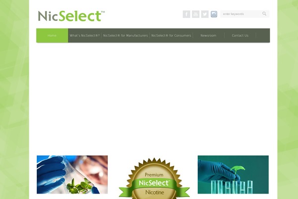 Increase theme site design template sample