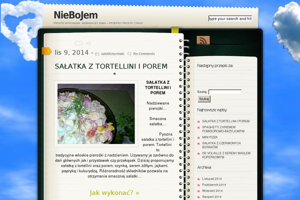 Diary theme site design template sample