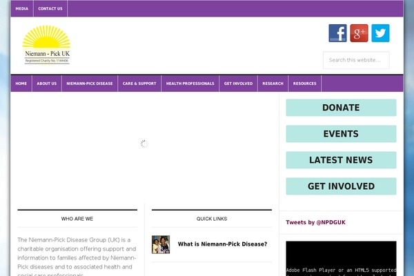 News Pro theme site design template sample