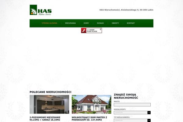 Wizjo theme site design template sample