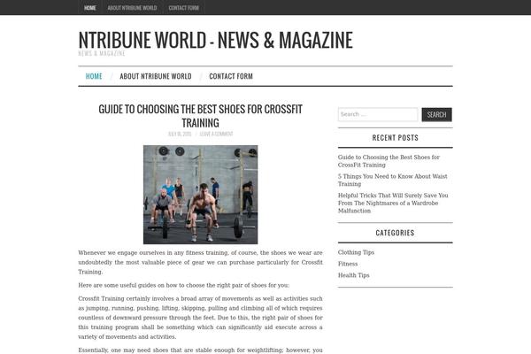 Fashionistas theme site design template sample