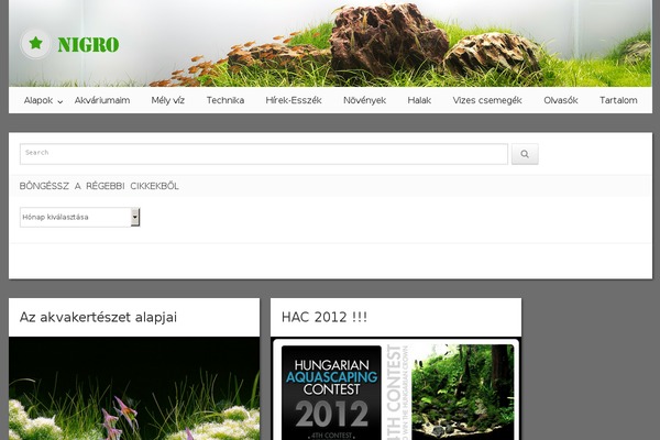 Pravda theme site design template sample
