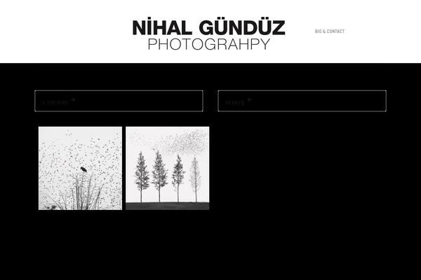 Oshine theme site design template sample