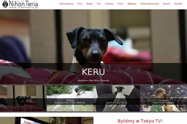 Site using Facebook Likebox Slider by ARScode plugin