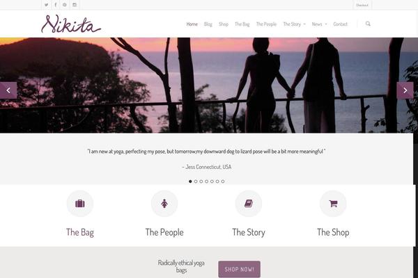 Salient theme site design template sample